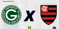 Goiás x Flamengo (Arte/ENM) Foto: Esporte News Mundo