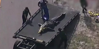 Mulher é devorada por crocodilo nos EUA  Foto: Reprodução/BBC