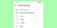 Quem participa de canais no WhatsApp poderá configurar um período de tempo para que mídias compartilhadas sejam apagadas automaticamente para economizar espaço no celular (Imagem: Reprodução/WABetaInfo)  Foto: Canaltech