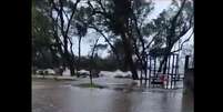  Foto: Marcelo Ferreira / PortoAlegre24Horas / Porto Alegre 24 horas