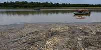 Peixes mortos são vistos no lago Piranha, afetado pela seca do Rio Solimões em Manacapuru (AM) (Foto de 29/09/2023)  Foto: REUTERS/Bruno Kelly