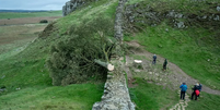 Jovem de 16 é apreendido suspeito de estar envolvido em derrubada de árvore de mais de 200 anos, na Inglaterra  Foto: Reprodução/BBC