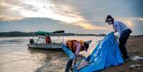 Mais de 100 botos morrem em lago superaquecido no Amazonas  Foto: Miguel Monteiro/Instituto Mamirauá
