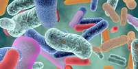 Microbiota intestinal  Foto: Imagem Image / iStock