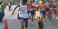 Cachorro invade maratona dos Jogos Pan-Americanos e corre ao lado de brasileiro  Foto: Reprodução/CazéTV