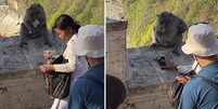 Macacos em Bali roubam celulares para negociá-los por comida  Foto: Reprodução/Instagram:@vocesabia