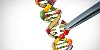 DNA influencia preferência por alimentos; entenda -  Foto: Shutterstock / Saúde em Dia