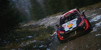 Pela primeira vez, Codemasters trabalha com a licença oficial da WRC  Foto: EA / Divulgação