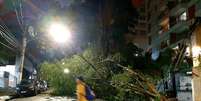 Árvore e galhos caídos na Rua Maria Figueiredo, no Paraíso, após vendaval e chuva forte na tarde de sexta-feira.  Foto: Alexandre Calais/Estadão / Estadão