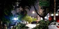 Árvore e galhos caídos na Rua Maria Figueiredo, no Paraíso, São Paulo, após vendaval e chuva forte na tarde de sexta-feira, 3  Foto: Alexandre Calais/Estadão / Estadão