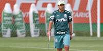 Paulo Nobre descarta candidatura a presidente do Palmeiras e avalia chance de título no Brasileirão