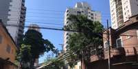 Árvore caída, devido ao temporal da última sexta-feira, 3, na Rua Marambaia, no bairro da Casa Verde, na zona norte da cidade de São Paulo.  Foto: Felipe Rau/Estadão / Estadão
