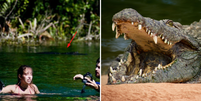 Mulher é mordida na cabeça por crocodilo de quase três metros e sobrevive na Flórida  Foto: Reprodução/Fox 35