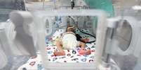 Bebê em UTI neonatal de hospital na Faixa de Gaza; falta de água potável e de combustível afeta o funcionamento dos centros médicos  Foto: Reuters