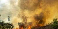 Focos de queimadas na Amazônia estão em alta e preocupam ambientalistas  Foto: DANIEL TEIXEIRA/ESTADÃO - 04/10/2023 / Estadão