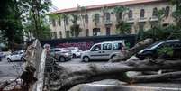 Temporal na quarta-feira derrubou árvore na Rua São Carlos do Pinhal  Foto: Taba Benedicto/Estadão / Estadão