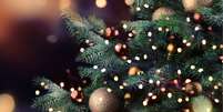 Veja o dia certo para montar sua árvore de Natal - Shutterstock  Foto: Alto Astral