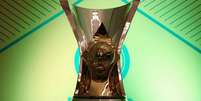 Taça de campeão do Campeonato Brasileiro  Foto: Divulgação/CBF / Estadão
