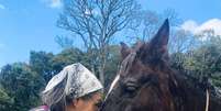 Cavalo Shanti chega machucado ao Santuário Francisco da Mantiqueira e recebe ajuda Foto: Santuário Francisco da Mantiqueira / Redação Planeta