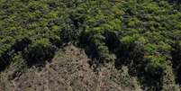Estudo de Oxford projeta que Brasil vai desmatar 64 milhões de hectares até 2050  Foto: Reuters / BBC News Brasil