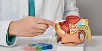 O que o tamanho da sua próstata diz sobre você? Médico explica -  Foto: Shutterstock / Saúde em Dia