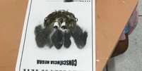 Atividade em colégio usa palha de aço para representar cabelos afro no Dia da Consciência Negra  Foto: Reprodução/Twitter