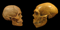 Os neandertais tinham capacidade de ouvir sons da mesma frequência que a fala dos Homo sapiens, e usavam muitas consoantes na sua comunicação (Imagem: hairymuseummatt/DrMikeBaxter/CC-BY-S.A-4.0)  Foto: Canaltech