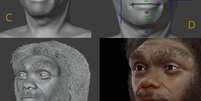 Processo de recriação da face do Homo longi, ou Homem Dragão, pelo brasileiro Cícero Moraes (Imagem: Cícero Moraes/Ortog Online)  Foto: Canaltech