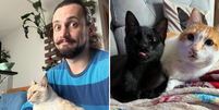 Paulo Rafael Maidl  ao lado de 3 dos 4 gatos de estimação; no perfil Rafa do Mika, ele compartilha dia a dia  com o marido e os bichos nas redes sociais  Foto: Reprodução/Redes Sociais 