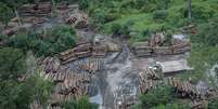 Imagem mostra o desmatamento ilegal na Terra Indígena Pirititi, em Roraima  Foto: Alma Preta