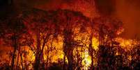 fogo no Pantanal  Foto: Joédson Alves/Agência Brasil / BBC News Brasil