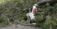 Árvore derrubada sobre um carro após intensas chuvas  Foto: Foto: Istock