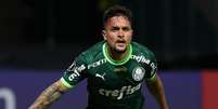 Palmeiras 2024: o que esperar do clube no último ano de Abel Ferreira e de Endrick
