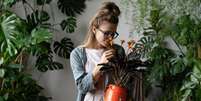 Veja como manter a casa repleta de bons sentimentos com essas plantas  Foto: Shutterstock / Alto Astral