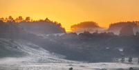 São Joaquim (SC) amanhece coberta por geada em meio ao verão  Foto: Mycchel Legnaghi/Divulgação