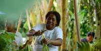 Imagem mostra agricultora quilombola do programa alimentar do governo federal.  Foto: Alma Preta
