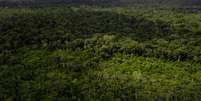 Floresta amazônica em imagem de drone  Foto: reprodução gettyimagens
