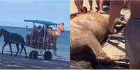 Um vídeo de um cavalo morrendo na praia de Morro de São Paulo viralizou no final de dezembro  Foto: Reprodução/Redes Sociais