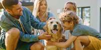 Adotar um pet exige responsabilidade  Foto: Gorodenkoff | Shutterstock / Portal EdiCase