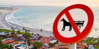 Jericoacoara e Cair proibiram o uso de veículo de tração animal  Foto: Divulgação/Prefeitura de Jericoacoara