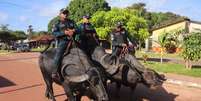 Polícia Militar na Ilha do Marajó (PA) utiliza búfalos em patrulhamentos  Foto: Divulgação/PM