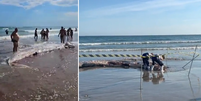 Baleia em estado de decomposição encalha e atrai banhistas em Praia Grande (SP)   Foto: Reprodução/Redes Sociais 