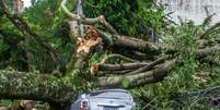 Chuva causou destruição em Porto Alegre   Foto:  Evandro Leal/Enquadrar / Estadão