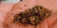 Substância líquida criada em laboratório, o K2 é misturado com ervas e fumado - e muitas vezes vendido sobre o nome de 'spice'  Foto: EPA/BORIS ROESSLER / BBC News Brasil