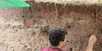 Determinação, através das camadas geológicas, da idade dos restos escavados no Maranhão (Imagem: W Lage Arqueologia)  Foto: Canaltech