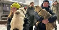 Em Ulan-Ude, na Sibéria, 18 cachorros de rua foram abatidos pelas autoridades na última semana, o que levou ativistas a reagir  Foto: BBC News Brasil