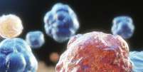C&eacute;lula cancer&iacute;gena (Imagem: VillalobosGoPack/Wikimedia Commons)  Foto: Canaltech
