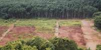 Área de desmatamento na floresta Amazônia.  Foto: Foto: istock 