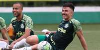  Foto: Palmeiras / Divulgação