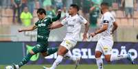 Palmeiras enfrenta o Santos visando manter invencibilidade na temporada.   Foto: Cesar Greco/Palmeiras / Esporte News Mundo